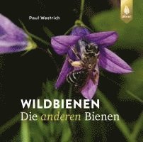 bokomslag Wildbienen, die anderen Bienen
