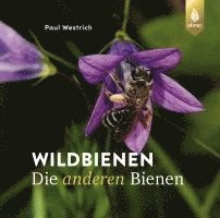 Wildbienen, die anderen Bienen 1