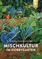 Mischkultur im Hobbygarten 1