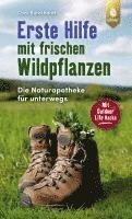 bokomslag Erste Hilfe mit frischen Wildpflanzen