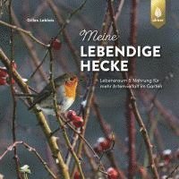 bokomslag Meine lebendige Hecke