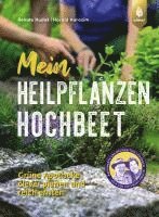 Mein Heilpflanzen-Hochbeet 1