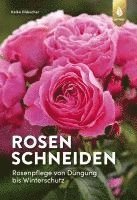 bokomslag Rosen schneiden