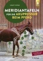 bokomslag Meridiantafeln für die Akupressur beim Pferd