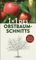 bokomslag 1 x 1 des Obstbaumschnitts