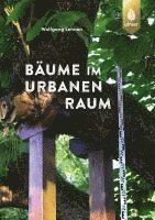 bokomslag Bäume im urbanen Raum