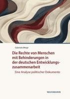 Gabriele Weigt - Die Rechte von Menschen mit Behinderungen in der deutschen Entwicklungszusammenarbeit, Häftad