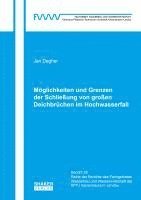 bokomslag Möglichkeiten und Grenzen der Schließung von großen Deichbrüchen im Hochwasserfall