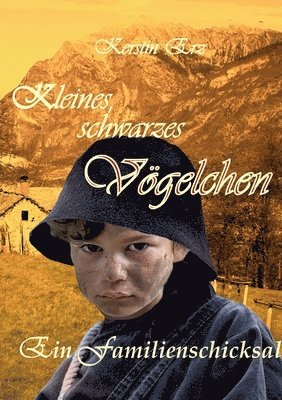 bokomslag Kleines, schwarzes Vögelchen: Ein Familienschicksal im 16. Jahrhundert