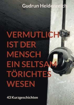 Vermutlich ist der Mensch ein seltsam törichtes Wesen