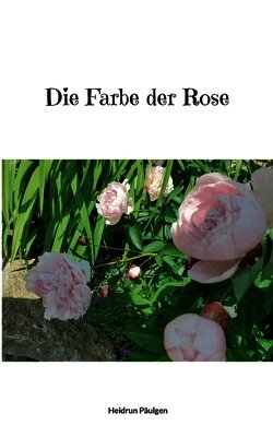 Farbe der Rose