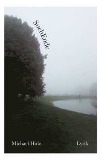 bokomslag SuchEnde