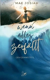 bokomslag Wenn alles zerfällt