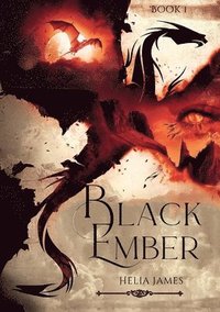 bokomslag Black Ember