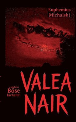 bokomslag Valea Nair