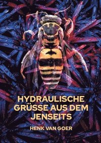 bokomslag Hydraulische Grüße aus dem Jenseits