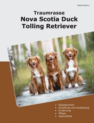 bokomslag Traumrasse Nova Scotia Duck Tolling Retriever
