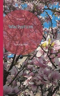 bokomslag Wachstum: funzt schon