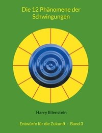bokomslag 12 Phänomene der Schwingungen