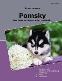 bokomslag Traumrasse Pomsky