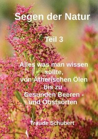 bokomslag Segen der Natur - Teil 3: Von Ätherischen Ölen bis gesunde Beeren - und Obstsorten