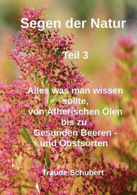 bokomslag Segen der Natur - Teil 3