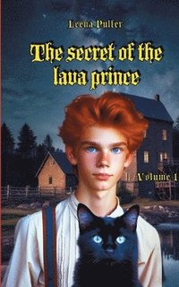 bokomslag secret of the lava prince