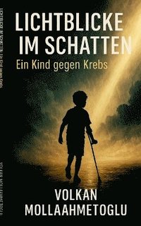 bokomslag Lichtblicke im Schatten