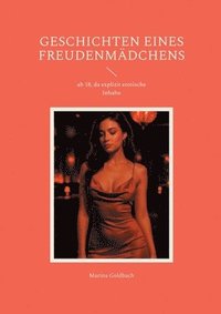 bokomslag Geschichten eines Freudenmädchens