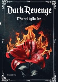 bokomslag Dark Revenge