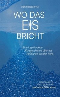 bokomslag Wo das Eis bricht