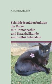 bokomslag Schilddrüsenüberfunktion der Katze mit Homöopathie und Naturheilkunde sanft selbst behandeln
