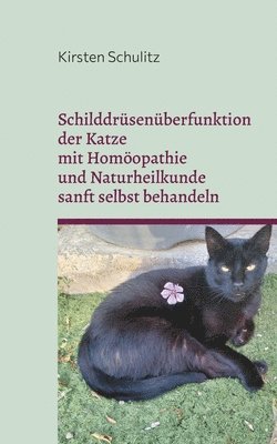 bokomslag Schilddrüsenüberfunktion der Katze mit Homöopathie und Naturheilkunde sanft selbst behandeln
