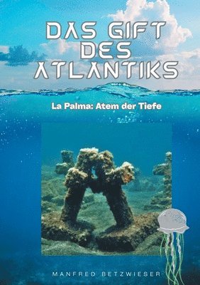 bokomslag Das Gift des Atlantiks