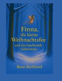 bokomslag Finna, die kleine Weihnachtsfee und das leuchtende Geheimnis