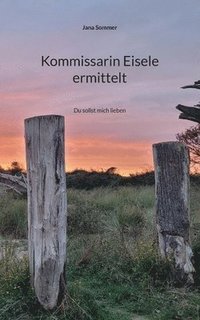 bokomslag Kommissarin Eisele ermittelt