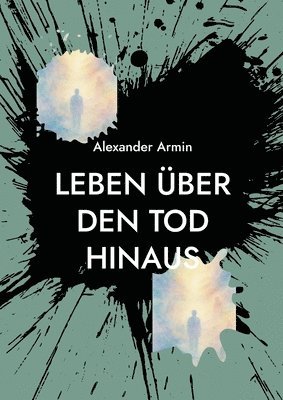 bokomslag Leben über den Tod hinaus