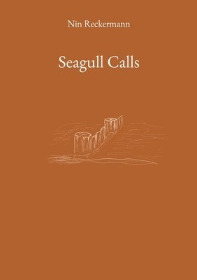 bokomslag Seagull Calls