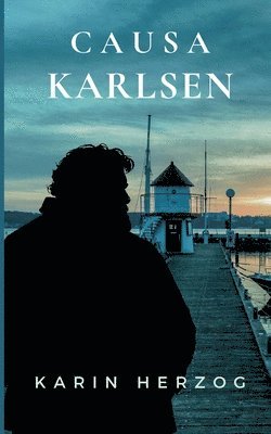 bokomslag Causa Karlsen