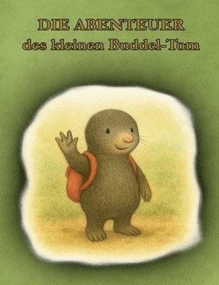 bokomslag Abenteuer des kleinen Buddel-Tom
