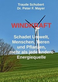 bokomslag Windkraft
