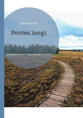 bokomslag Pontes longi