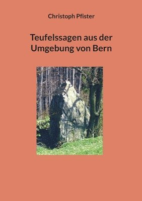 bokomslag Teufelssagen aus der Umgebung von Bern