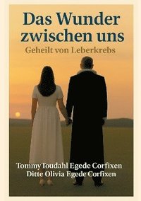 bokomslag Wunder zwischen uns