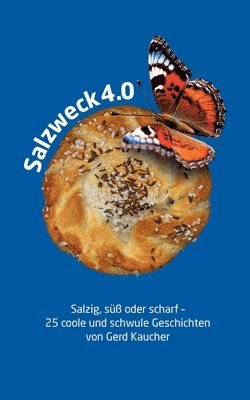 bokomslag Salzweck 4.0