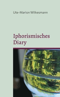 bokomslag Iphorismisches Diary