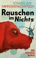 bokomslag Rauschen im Nichts