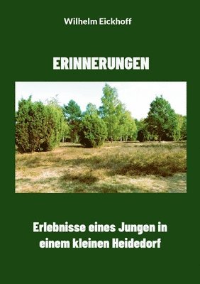 bokomslag Erinnerungen