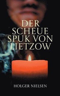 bokomslag scheue Spuk von Lietzow