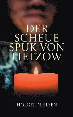 bokomslag scheue Spuk von Lietzow